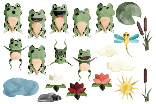 Watercolor Frogs Lily Pads Dragonfly and Pond Scene
