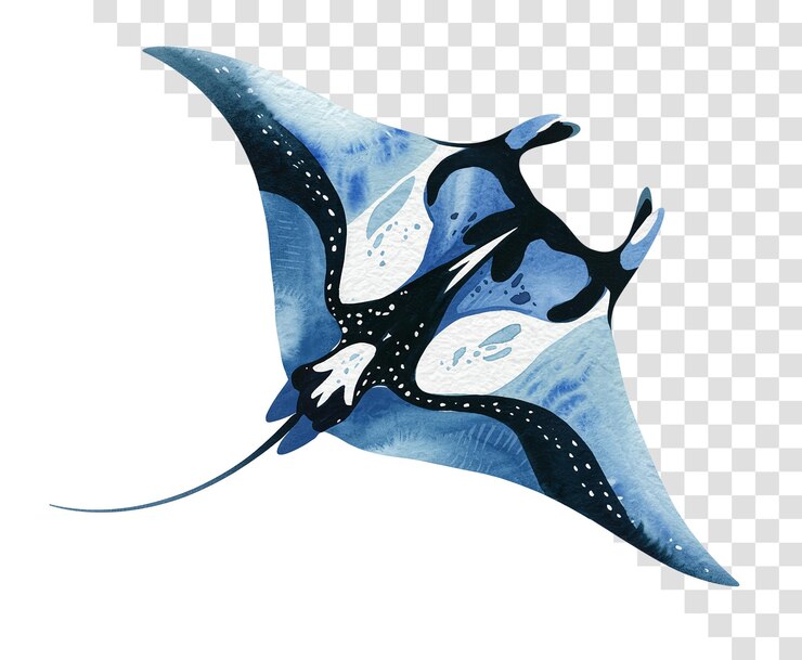 PSD watercolor manta ray illustration
