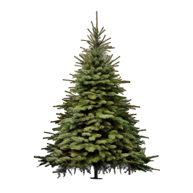 PSD weihnachtsbaum