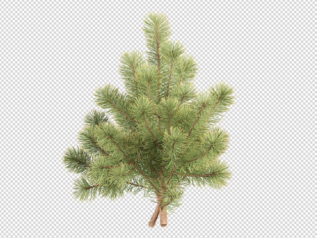Weihnachtskranz Weihnachtsbaumkollektion