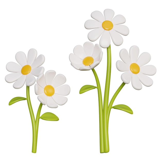 Weiße Gänseblümchen 3D-Grafik