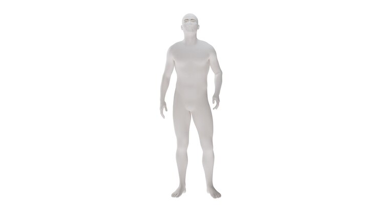 PSD weiße kunststoff hochauflösung konzeptionelle menschliche 3d-anatomie körper 3d-illustration isoliert