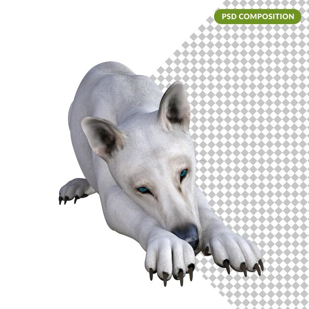 PSD weißer wolf isoliert 3d-rendering