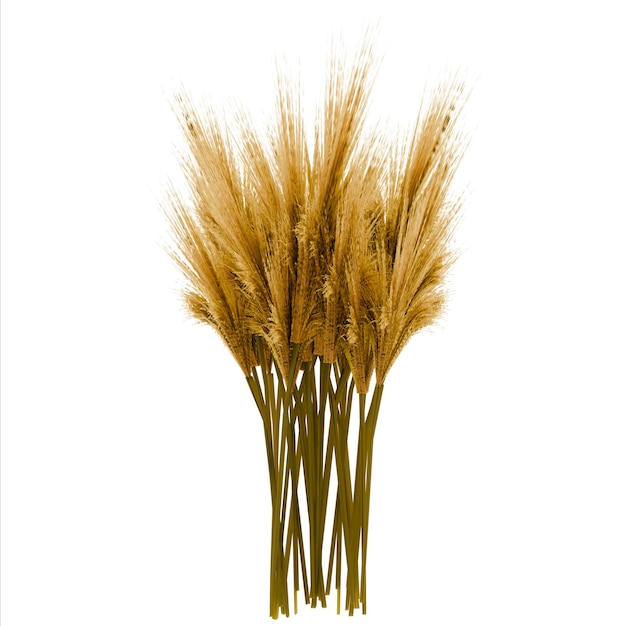 Weizenstängel goldenen Herbsternte