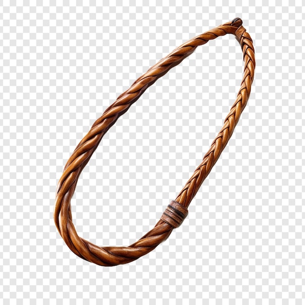 PSD whip png isolado em fundo transparente