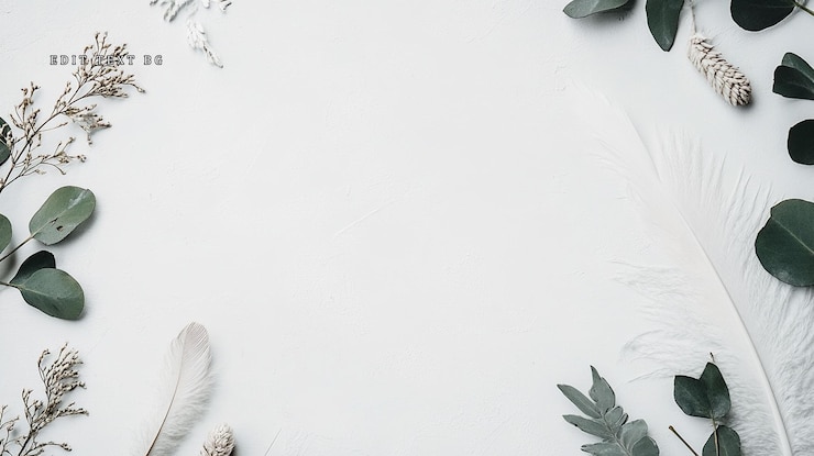 PSD white background with eucalyptus leaves feathers and dried flowers forming a frame