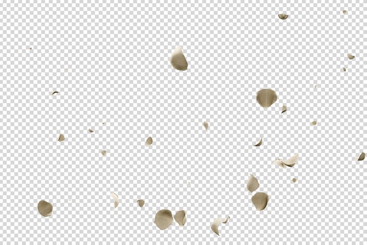 PSD white roses petals flying romance overlay