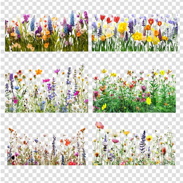 Wildblumen-Grenz-Set PSD