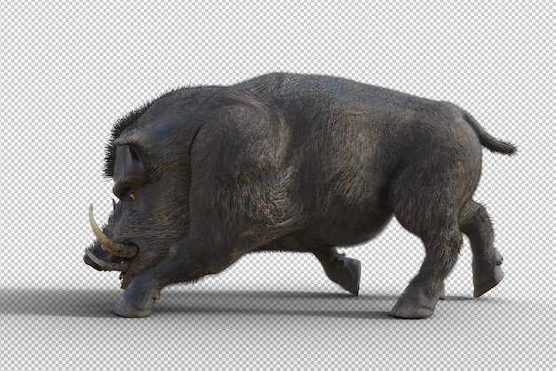 Wildschwein isoliert 3d rendern