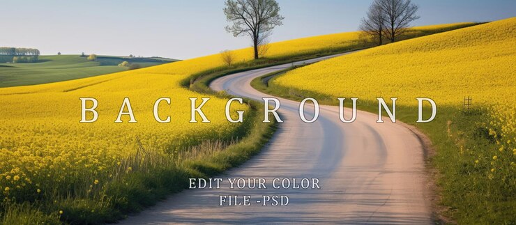 PSD winding road in the middle of fields of yellow colza rapeseed flowers and blue sky orange and yellow light