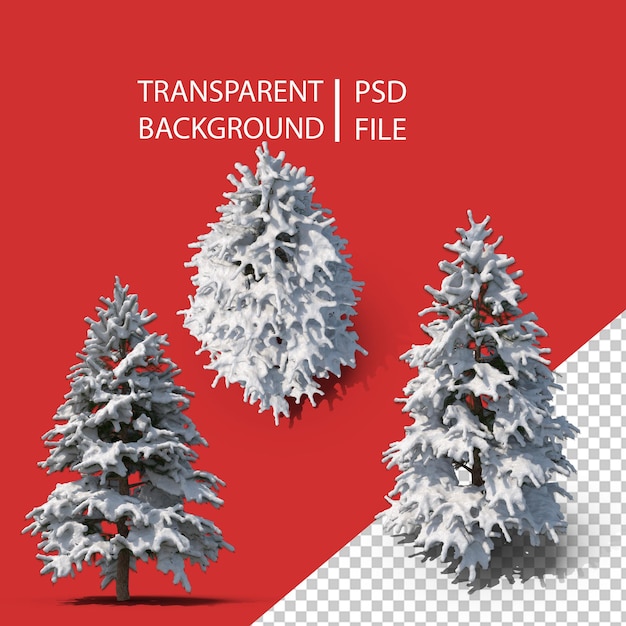 PSD winterbaum png