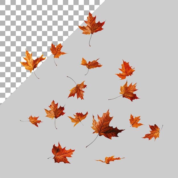 Wirkung von im Wind fliegenden Herbstblättern, isoliert auf einem durchsichtigen Hintergrund