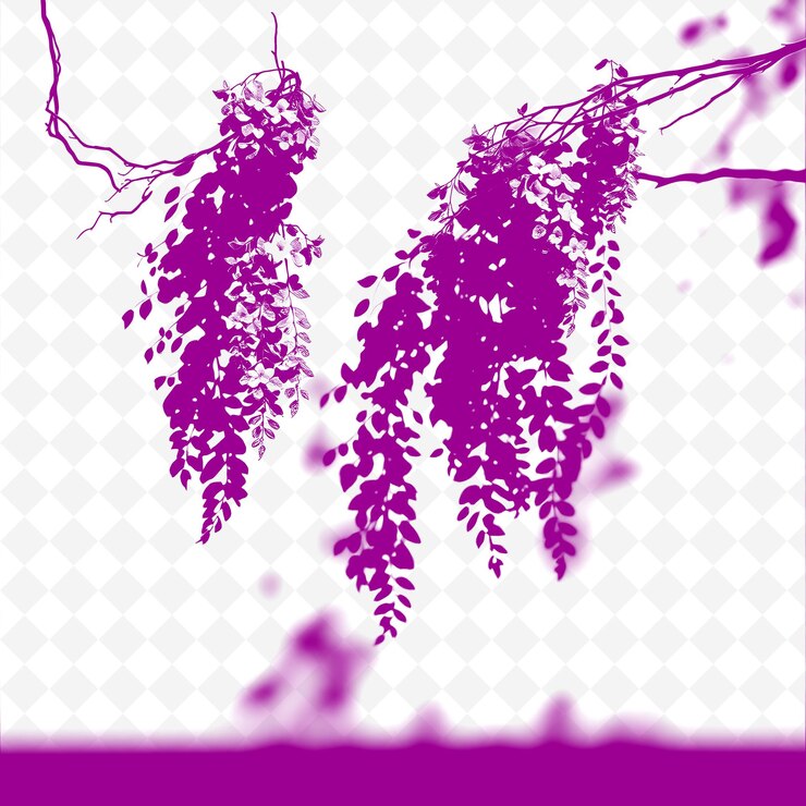PSD wisteria vine forming shadow cascading shapes soft and trailing png shadow cast ilustrações
