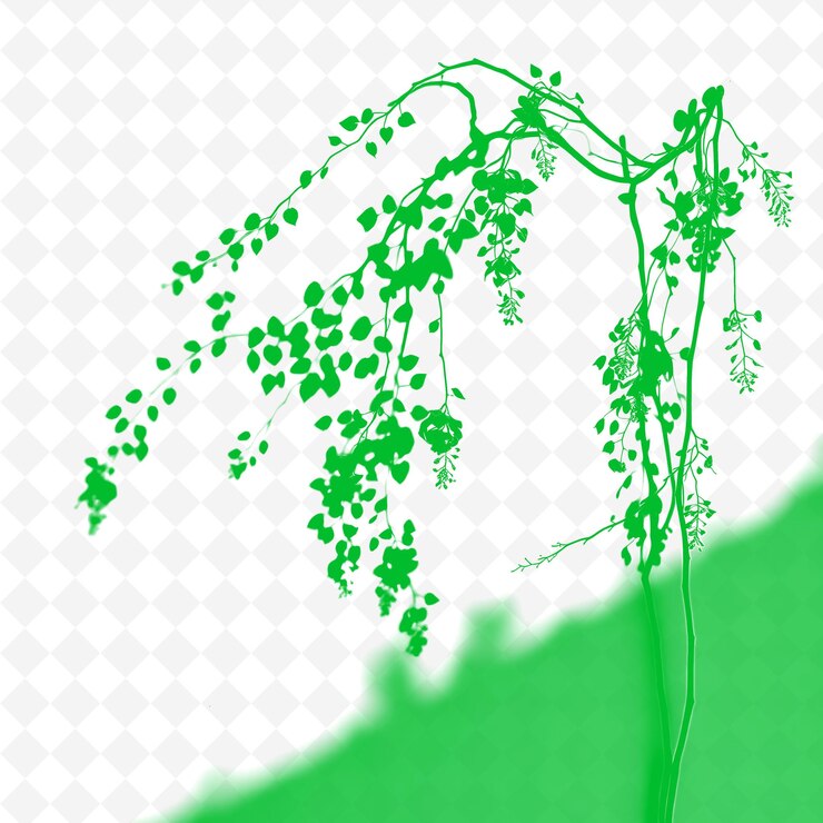 PSD wisteria vine shadow forming cascading shapes soft and trailing png shadow cast illustrations
