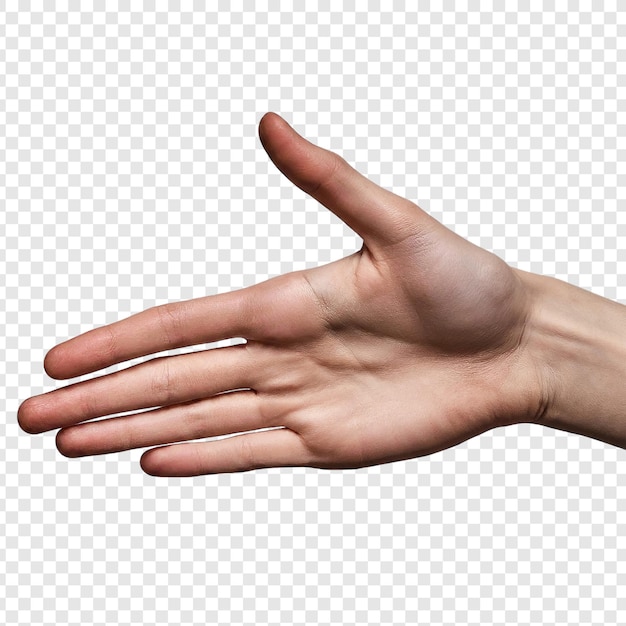 Woman hand open isolated png on transparent background Premium PSD
