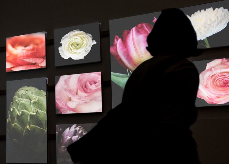 PSD woman39s silhouette viewing photos in a dark gallery