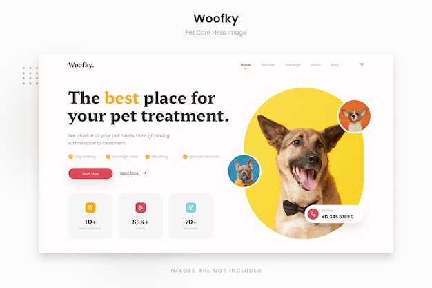 PSD woofky - imagen de héroe brillante y enérgico para el cuidado de mascotas