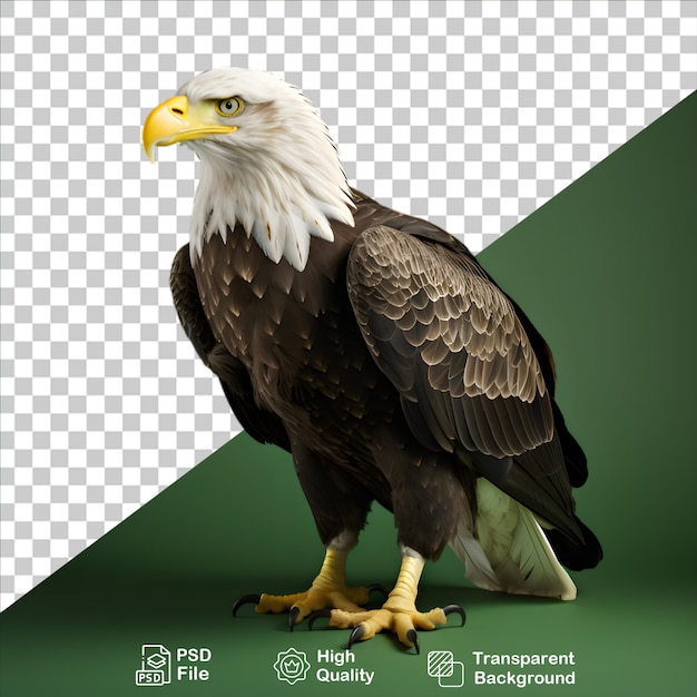 PSD wunderschöner adler isoliert auf durchsichtigem hintergrund png-datei enthalten