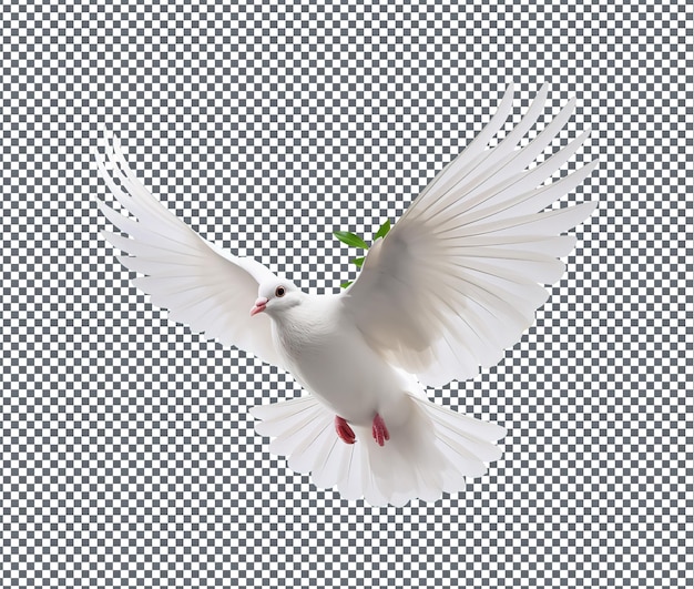 Wunderschöner Vogel isoliert auf transparentem Hintergrund