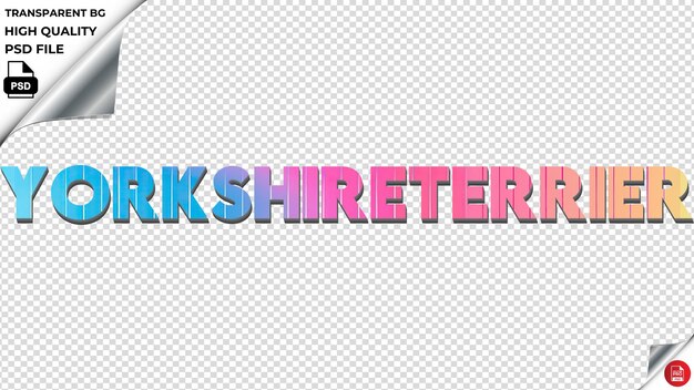 PSD yorkshire-terrier typographie regenbogen farbenfroher text textur psd durchsichtig