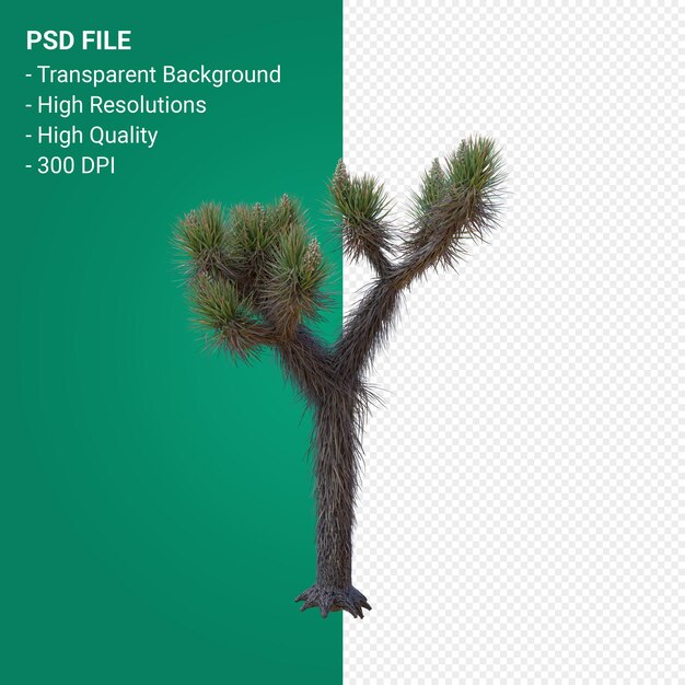 Yucca brevifolia 3d render aislado