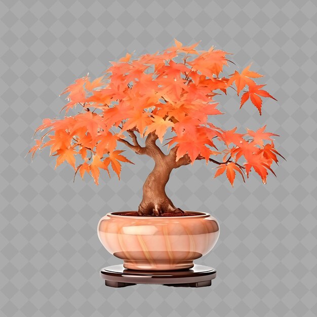 PSD z2 érable en pot en céramique sur support en céramique avec couleur orange brûlé arbre vert isolé pour la décoration de la maison