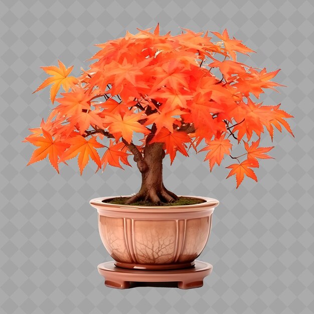 PSD z2 érable en pot en céramique sur support en céramique avec couleur orange brûlé arbre vert isolé pour la décoration de la maison