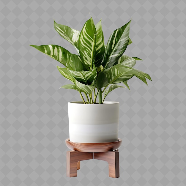 PSD z2 a zz plant in a ceramic pot on an marble plant stand with ne isolated green tree for home decor