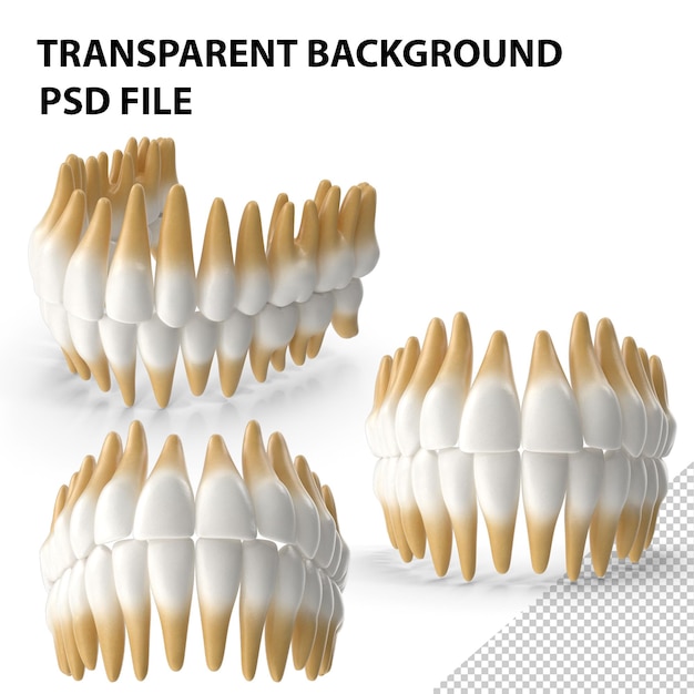 PSD zähne medizinisches modell png