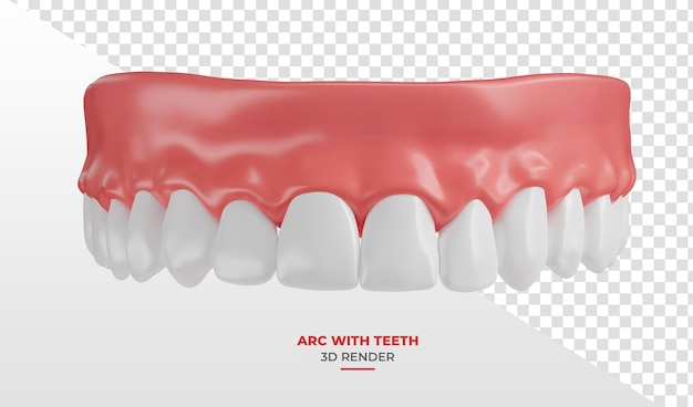 Zahnfleisch mit weißen Zähnen in 3D-Rendering mit durchsichtigem Hintergrund