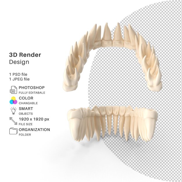 PSD zahnmodell 3d-modellierung psd-datei realistisch