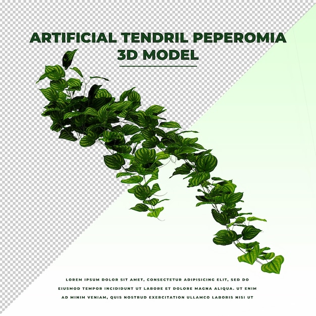 PSD zarcillo artificial peperomia