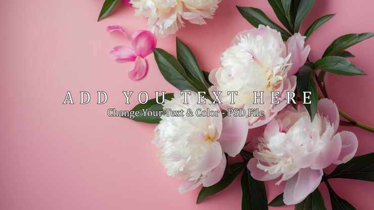 PSD zarte pfeunen auf einem rosa hintergrund
