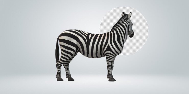 PSD zebra isoliert auf einem transparenten hintergrund