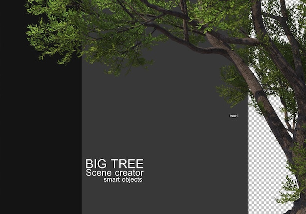 Zeigen Sie ein großes Baum-Vordergrund-Rendering an
