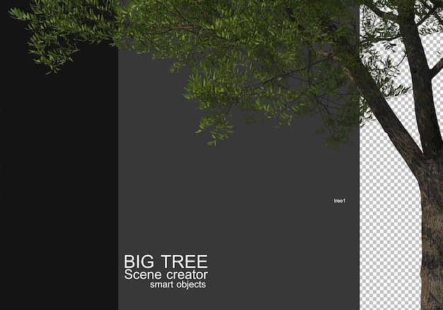 Zeigen Sie ein großes Baum-Vordergrund-Rendering an