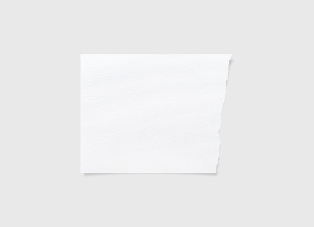 PSD zerrissene papierkanten, zerrissene papierstruktur, papieretikett, weißes papierblatt als hintergrund mit beschneidungspfad, nahaufnahme