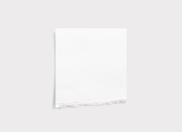 Zerrissene Papierkanten, zerrissene Papierstruktur, Papieretikett, weißes Papierblatt als Hintergrund mit Beschneidungspfad, Nahaufnahme