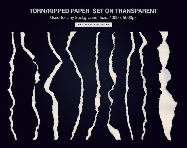 Zerrissenes Papier eingestellt