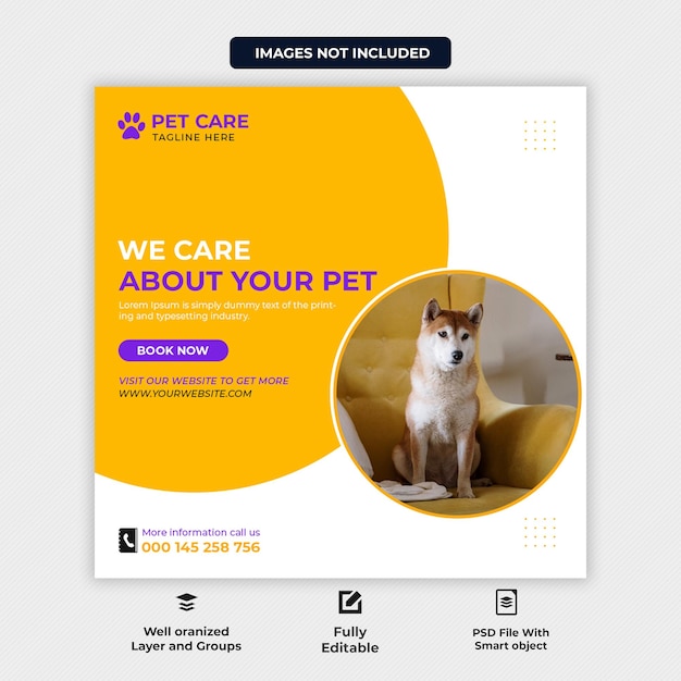 Zoohandlung Social Media Promotion Instagram Banner Post Design-Vorlage