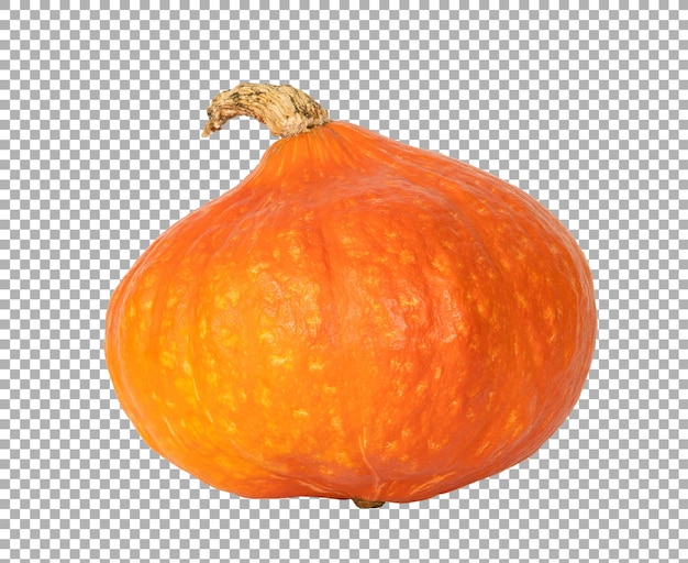 zucca arancione isolata