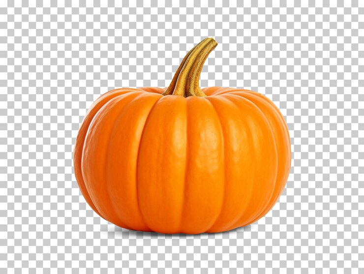 PSD zucca isolata su sfondo trasparente png psd