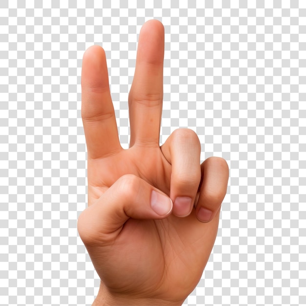 PSD zwei finger auf durchsichtigem png-hintergrund