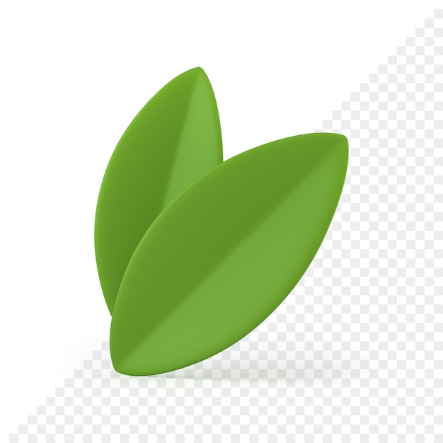 PSD zwei grüne blätter ostern dekoratives element sommerpflanze organische natur laub 3d-symbol
