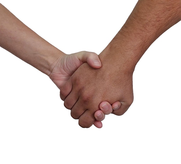 Zwei Handschütteln auf weißem Hintergrund Nahaufnahme Partnerschafts- und Vertrauenskonzept