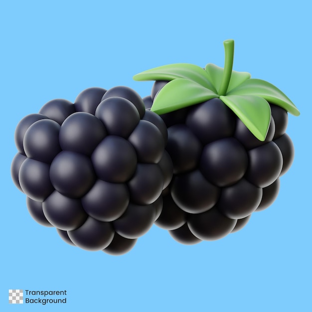 Zwei realistische 3D-Cartoon-Schwarzbeeren mit Blättern