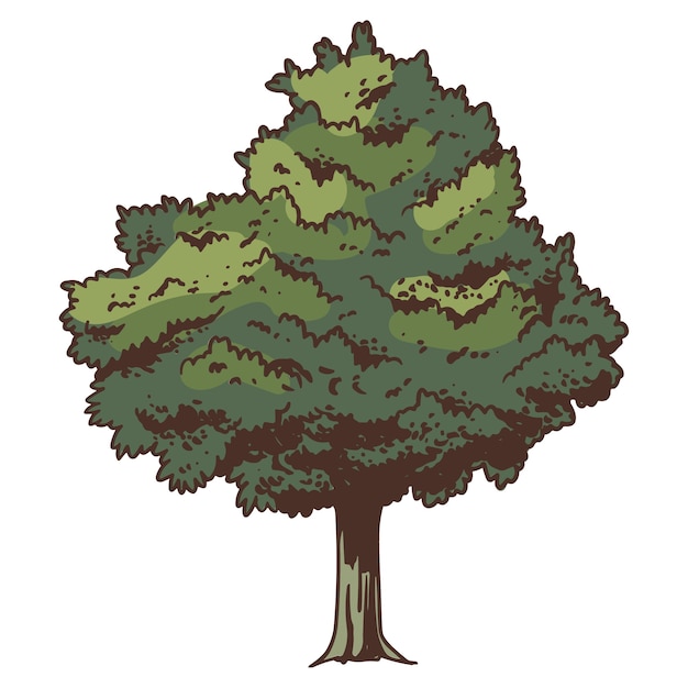 Hand drawn tree  illustration isolated