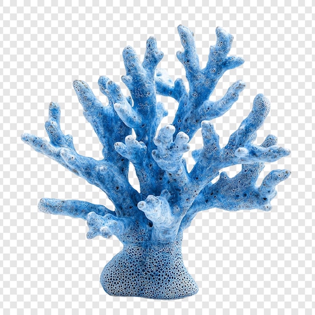 stunning blue coral specimen a captivating underwater jewel