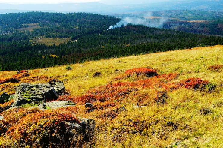 Ücretsiz Fotoğraf almanya'da sonbaharda harz dağlarının ve ormanlarının güzel manzarası