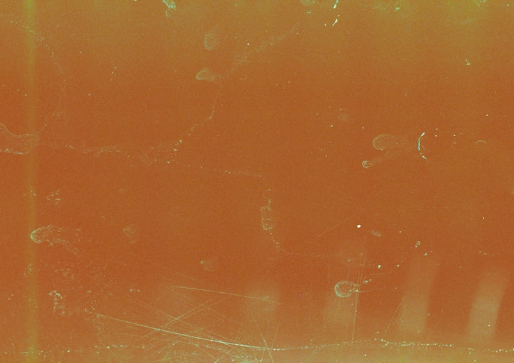 Ücretsiz Fotoğraf close up on film texture details